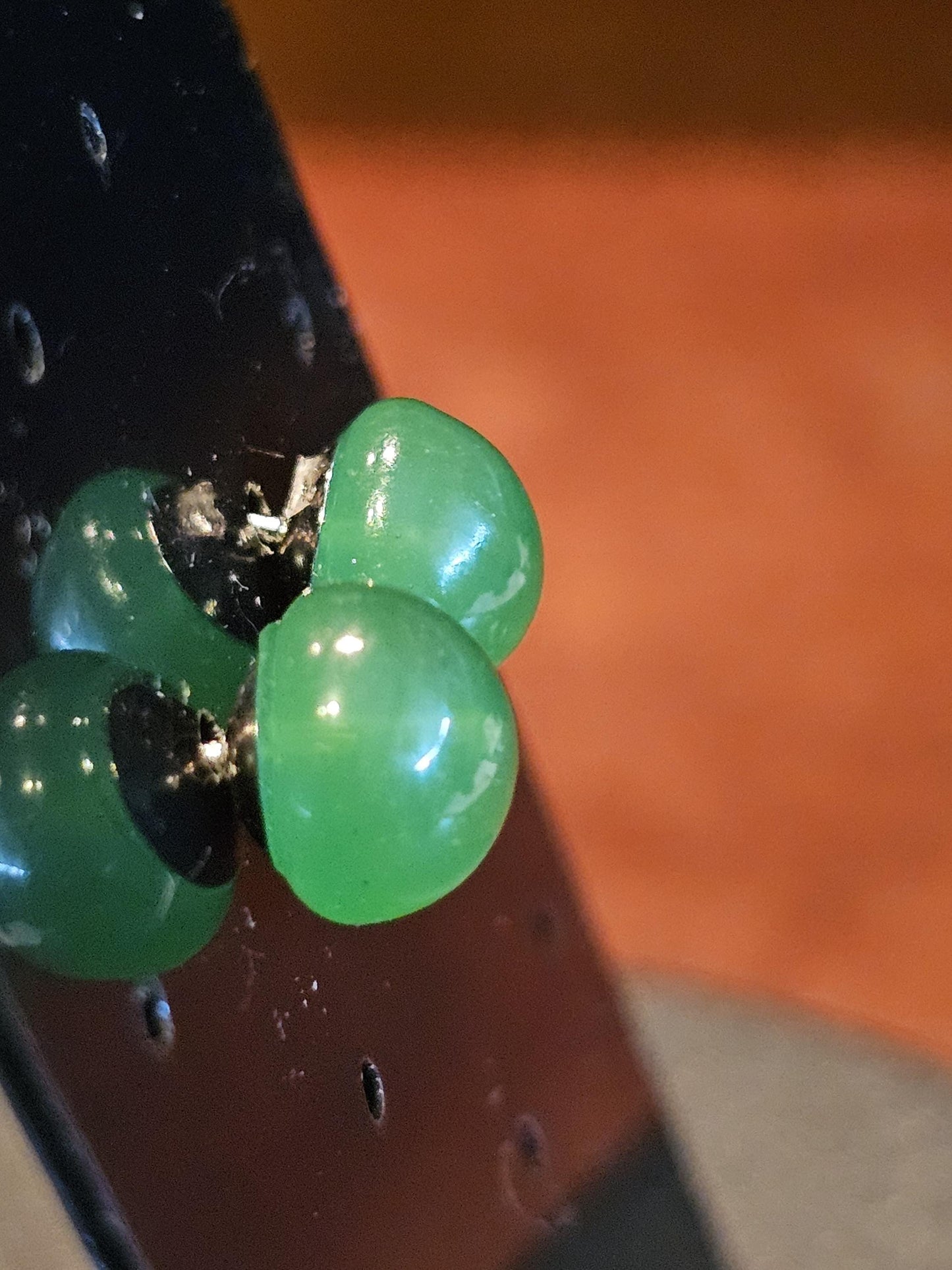 Boucles d'oreilles en verre d'uranium en argent sterling neuf avec pierres en verre d'uranium vert foncé vintage de 9 mm à taille ronde, qui brillent sous la lumière noire/UV