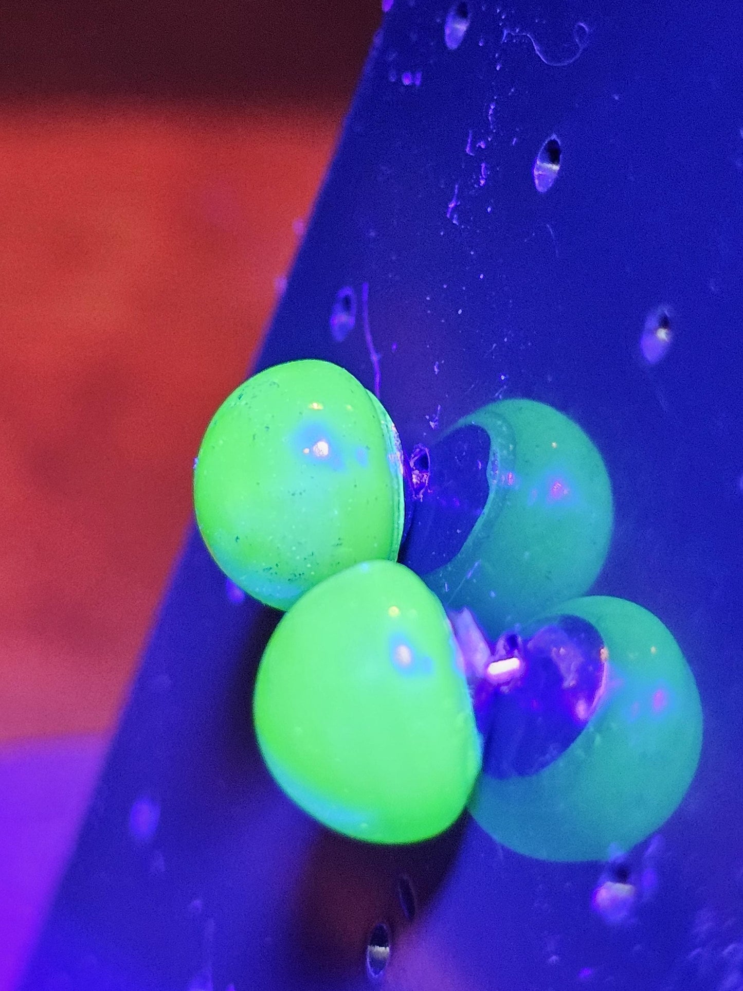 Boucles d'oreilles en verre d'uranium en argent sterling neuf avec pierres en verre d'uranium vert foncé vintage de 9 mm à taille ronde, qui brillent sous la lumière noire/UV