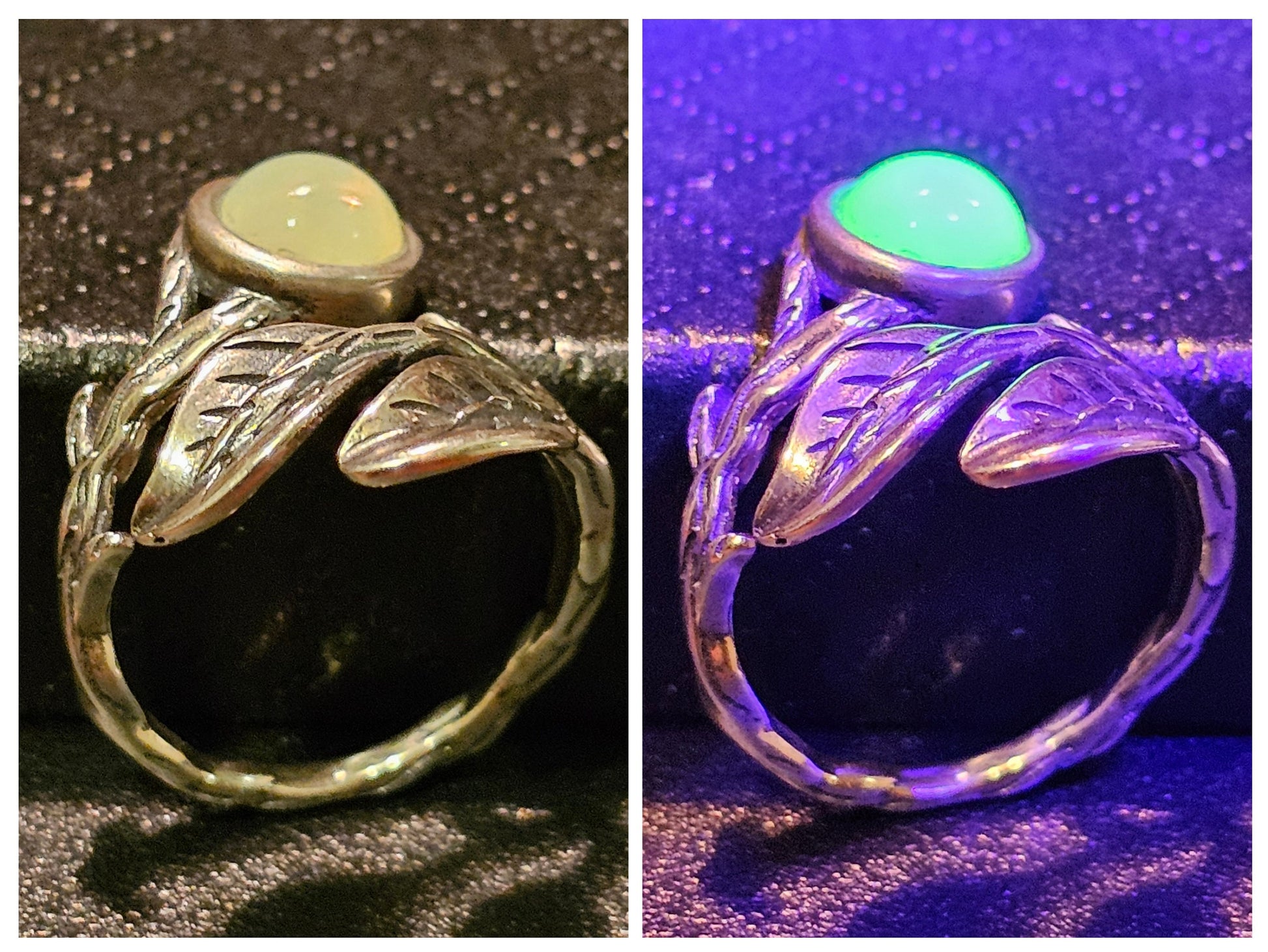 Uranium Glass Adjustable Ring in Sterling Silver Leaf and Branch design with vintage Uranium glass round stone glows under black / UV light
