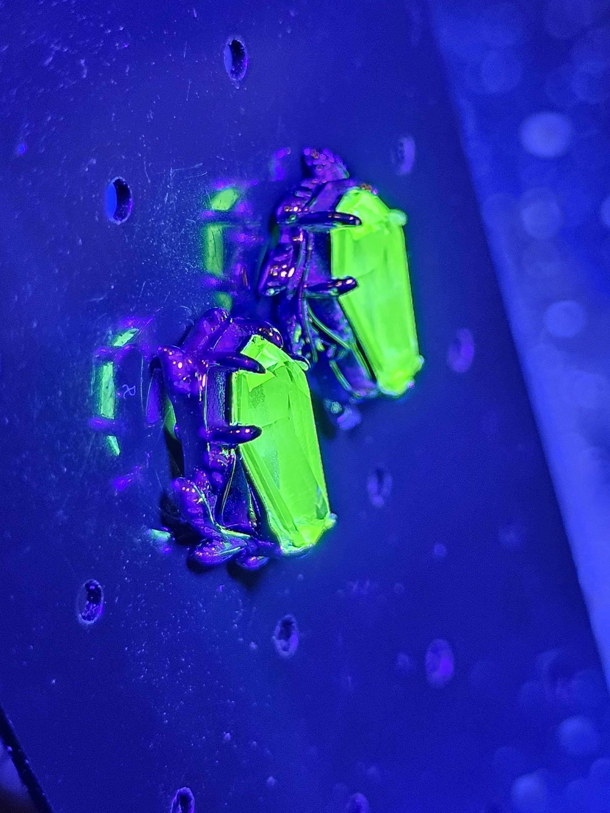 Uranium Glass Coffin cut Earrings in new Sterling Silver with Czech glass 10x5.5 mm Uranium Glass stones that glow under black/UV light